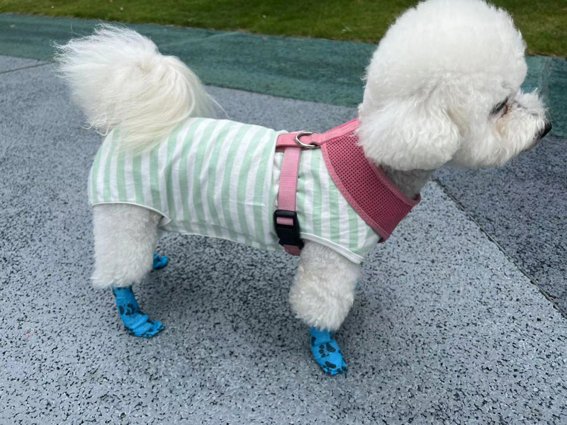 التفاف بيطري